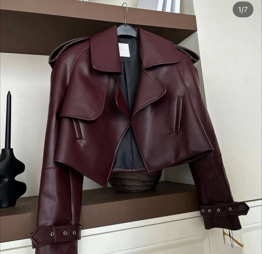 Burgundy and black leather jacket