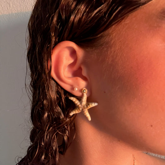 Starfish earrings